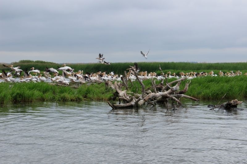Нижньодністровський національний природний парк