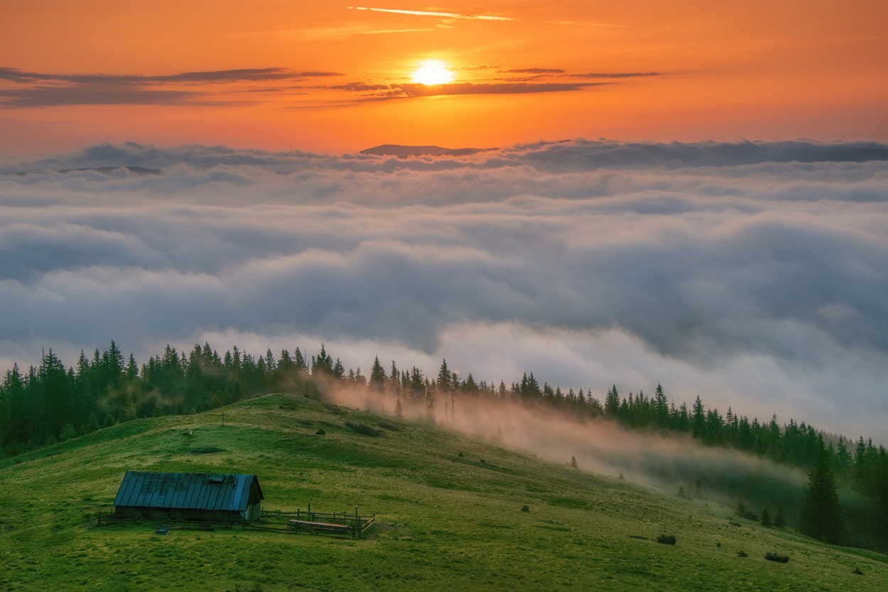 Карпатський національний парк