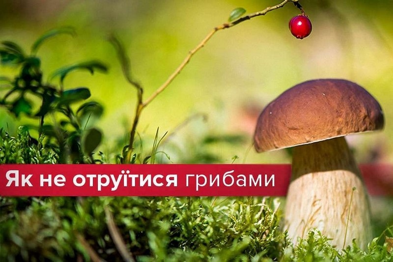 Отруєння грибами